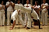 IMG_9346.jpg