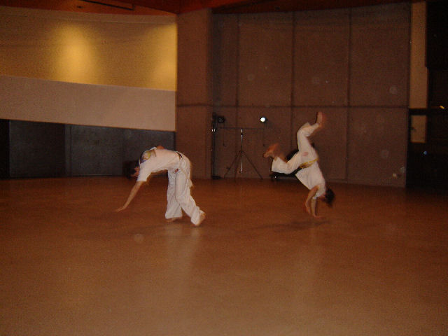 capoeira 051.jpg