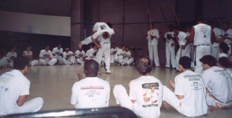 Image05_80.jpg