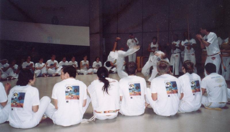Image06_80.jpg